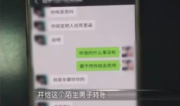 两性视频网站,揭秘热门视频网站的魅力与影响